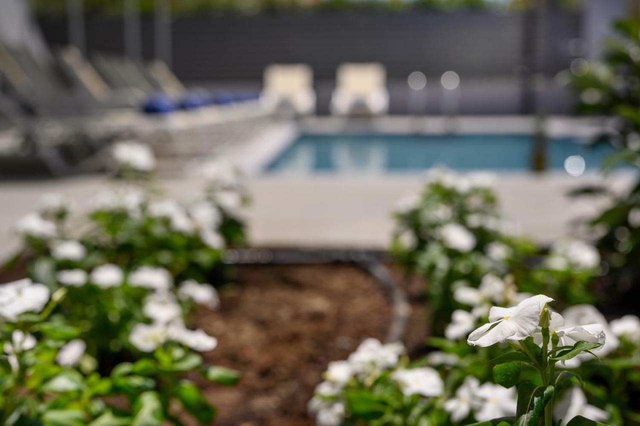 Athina Suites Luxury Suites Near The Sea Platanias Platanés Exteriér fotografie